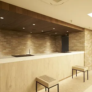 Hotel Sotetsu Fresa Ginza Sanchome, Tokyo